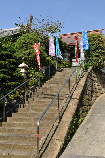 D300_10219 WXGA.jpg