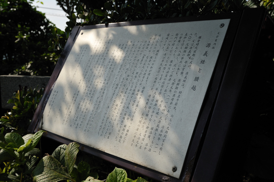 D300_10227 WXGA.jpg