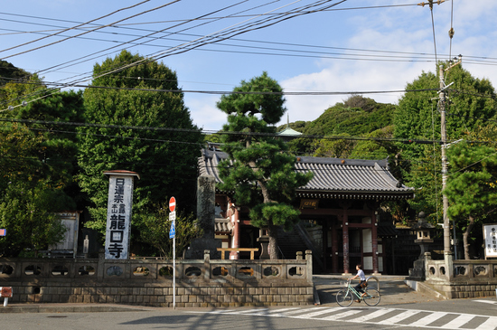 D300_10269 WXGA.jpg