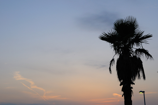 D300_10396 WXGA.jpg