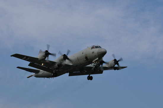 D300_10594 1680.jpg