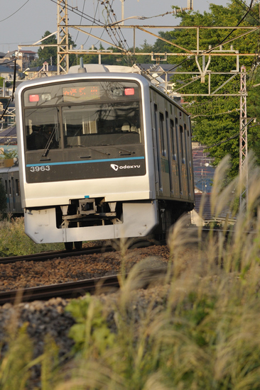 D300_10827 trim WXGA.jpg