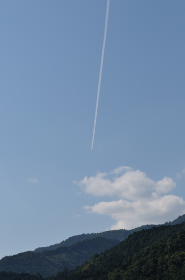D300_11034 WXGA.jpg