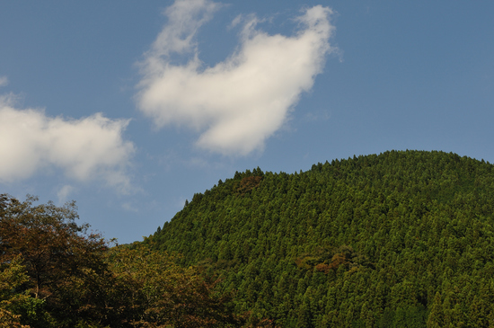 D300_11049 WXGA.jpg