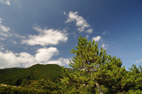 D300_11070 WXGA.jpg