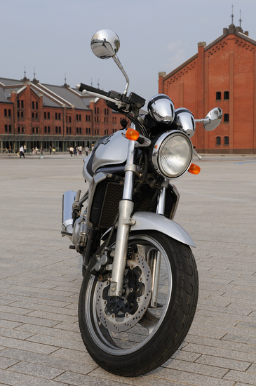 D300_11181 WXGA.jpg