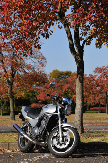D300_11505 WXGA.jpg
