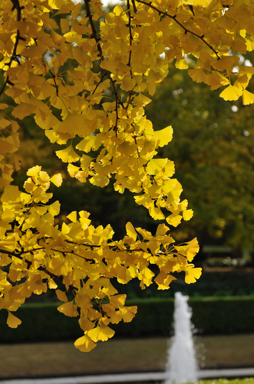 D300_11532 WXGA.jpg