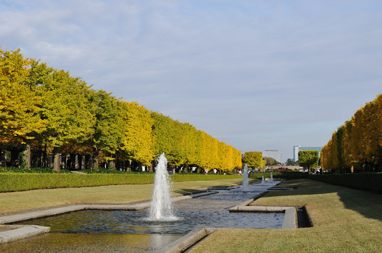 D300_11547 WXGA.jpg
