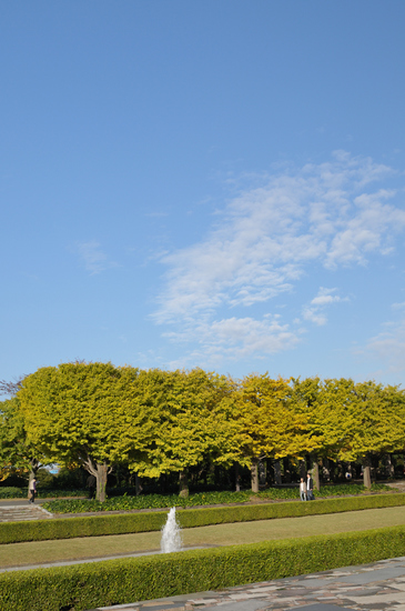 D300_11550 WXGA.jpg