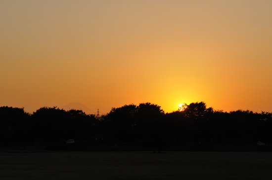 D300_11625 WXGA.jpg