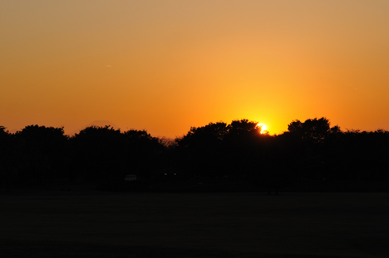D300_11626 WXGA.jpg