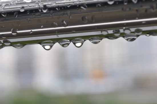 D300_11656 WXGA.jpg