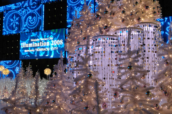 D300_12780 WXGA.jpg