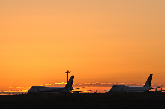 D300_13218 WXGA.jpg