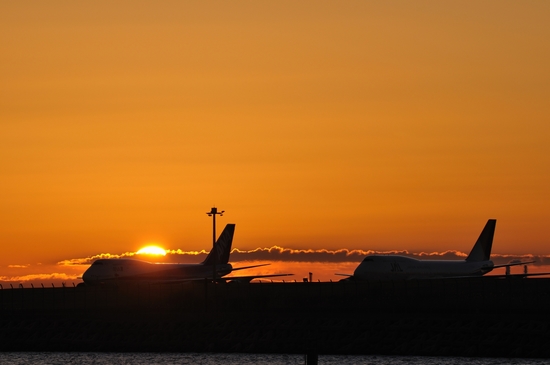 D300_13224 WXGA.jpg