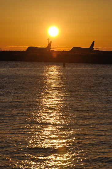 D300_13259 WXGA.jpg