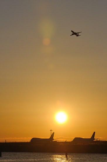 D300_13262 WXGA.jpg