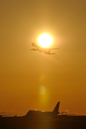 D300_13285 WXGA.jpg