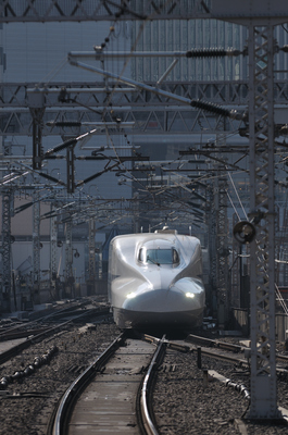 D300_1447 WXGA.jpg