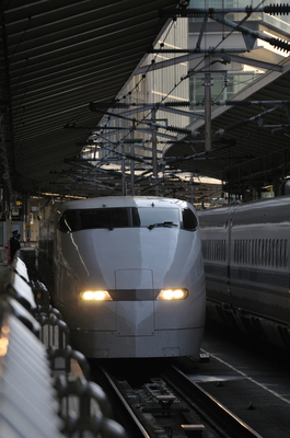 D300_1502 WXGA.jpg