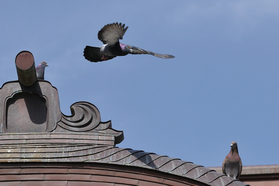 D300_15104 WXGA.jpg