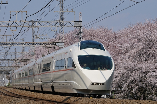 D300_15926 WXGA.jpg