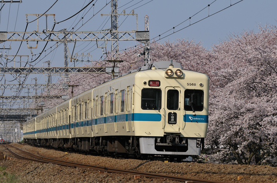 D300_16013 WXGA.jpg