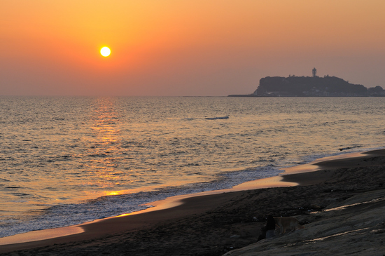 D300_17747 XGA.jpg