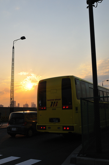 D300_19428 XGA.jpg
