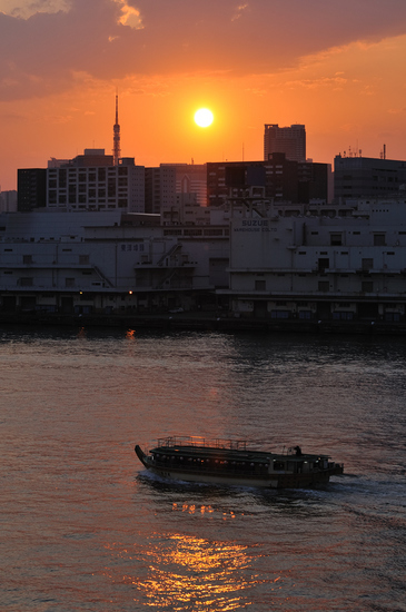 D300_19457 XGA.jpg