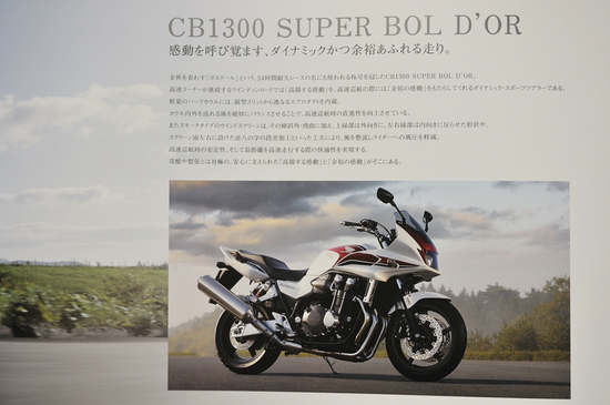 D300_19536 XGA.jpg