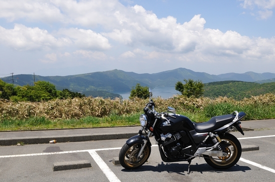 D300_19562 XGA.jpg