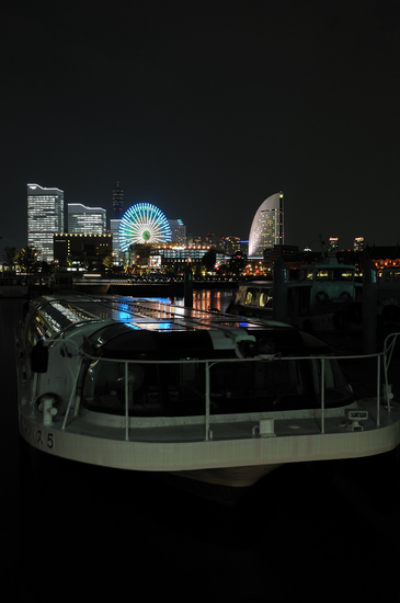 D300_19645 WXGA.jpg