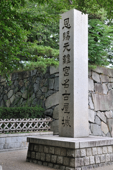D300_19838 XGA.jpg