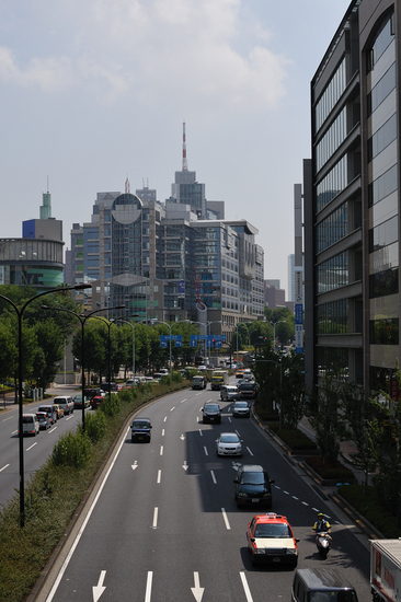 D300_20286 XGA.jpg