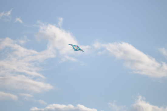 D300_2091 WXGA.jpg
