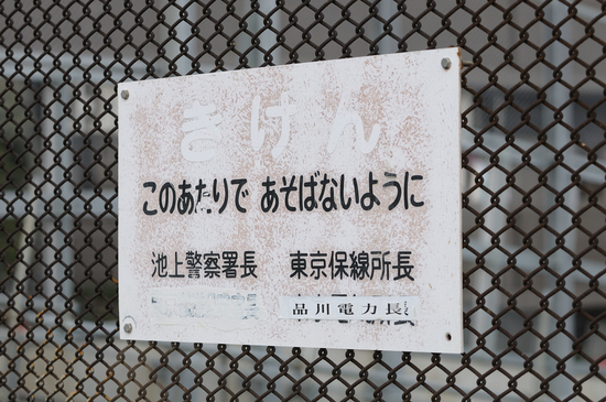 D300_2178 XGA.jpg