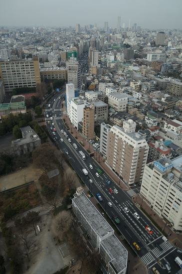 D300_2882 WXGA.jpg