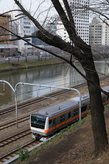 D300_3009 WXGA.jpg