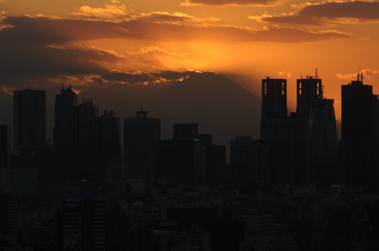 D300_3340 WXGA.jpg