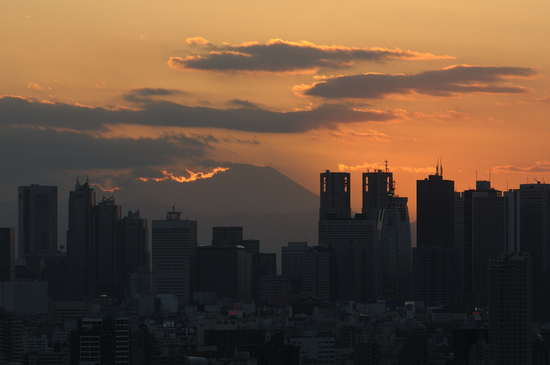 D300_3360 WXGA.jpg