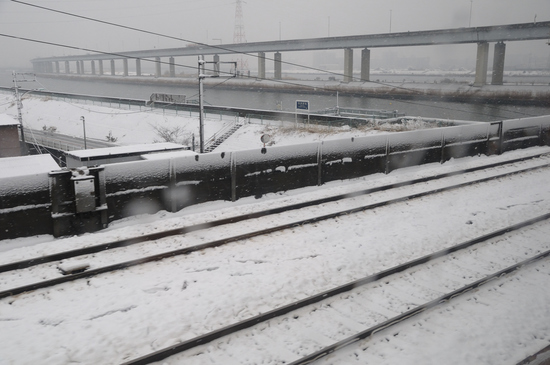 D300_3479 WXGA.jpg