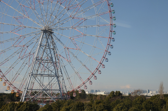 D300_3702 WXGA.jpg