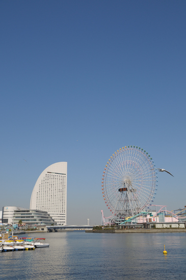 D300_3835 WXGA.jpg