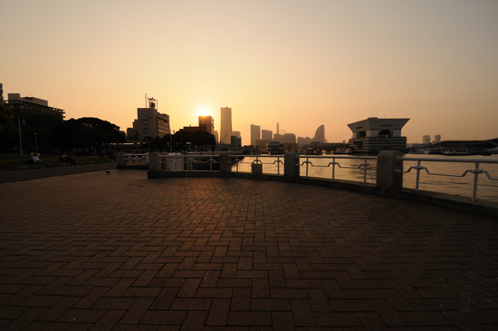 D300_6780 WXGA.jpg