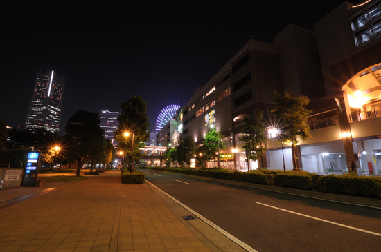 D300_6936 WXGA.jpg