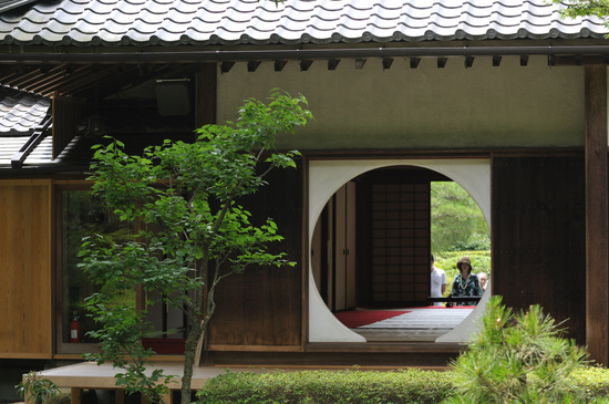 D300_7061 WXGA.jpg