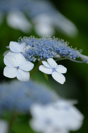 D300_7087 WXGA.jpg