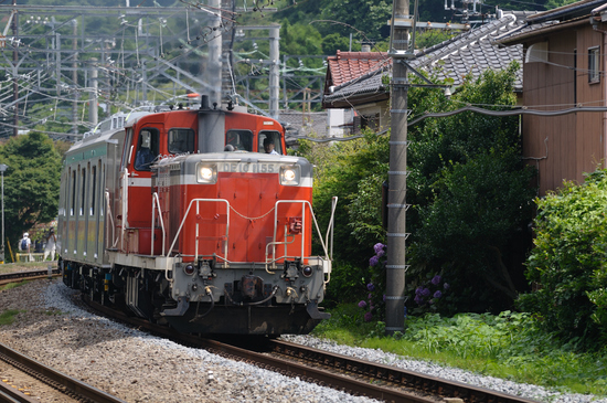 D300_7103 WXGA.jpg
